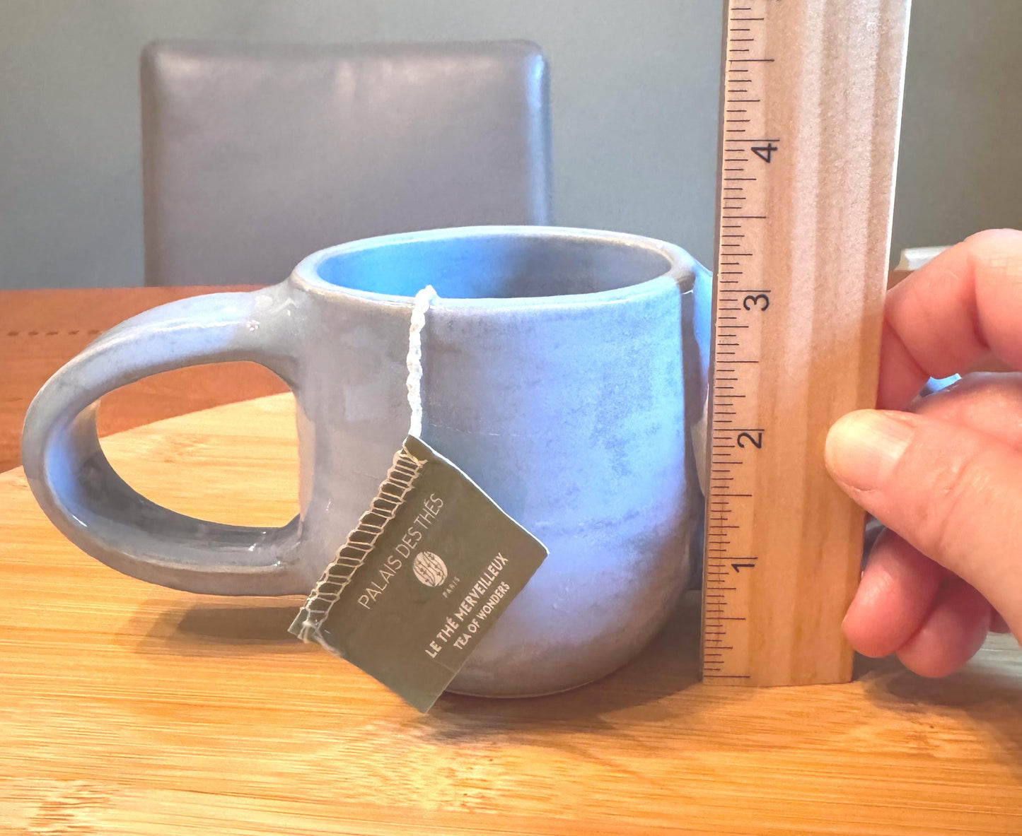 Steady Mug: Light Blue Porcelain Mug: Double Handle Pottery, 8 oz