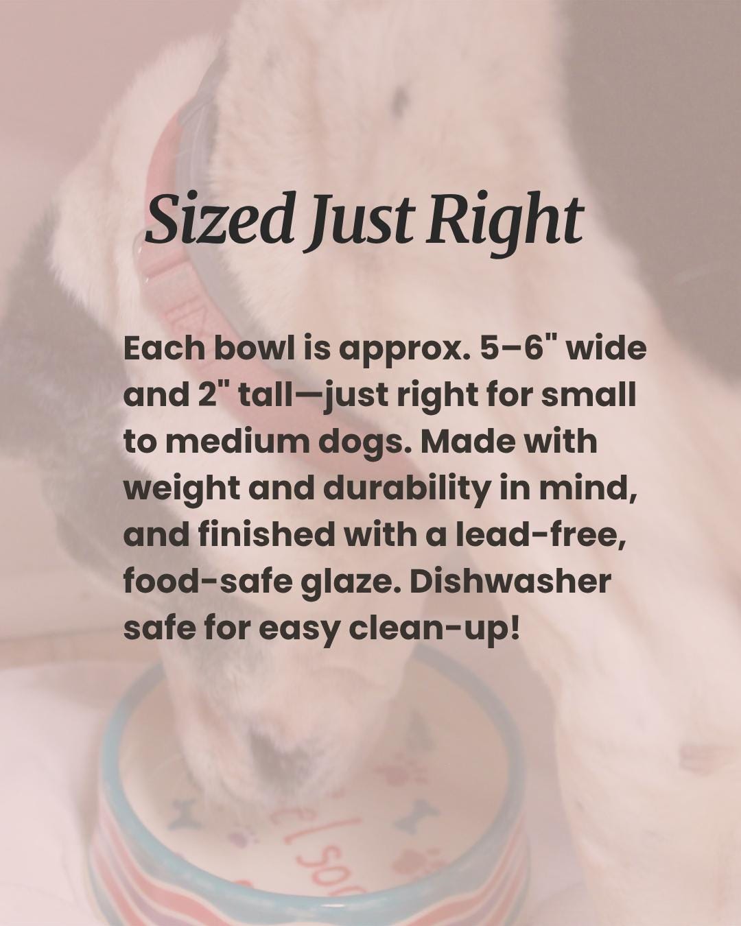Handmade Ceramic Dog Bowl: 'Good Dog' or 'Pooch' Design